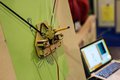 Robotics expo 2015