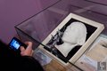 Анна Павлова. Бессмертный лебедь