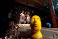 Burning Man Decompression 2016