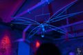 Burning Man Decompression 2016