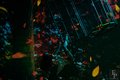 Человек-амфибия. Театрально-цирковое шоу