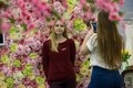 Crocus PhotoFest 2016