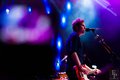 The Fratellis 2016 в "Red"
