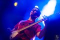 The Fratellis 2016 в "Red"