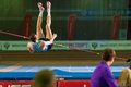 ХХ Кубок Москвы по прыжкам в высоту