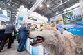 Интурмаркет 2016