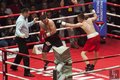 Лебедев против Гассиева