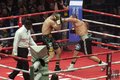 Лебедев против Гассиева