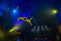 Молодежный Фестиваль-конкурс циркового искусства 2016