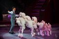 Молодежный Фестиваль-конкурс циркового искусства 2016
