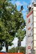 Moscow City Games 2016
