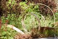Moscow flower show 2016