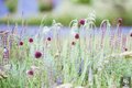 Moscow flower show 2016