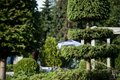 Moscow flower show 2016