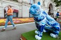 Парад диких кошек