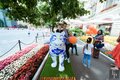 Парад диких кошек