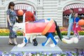 Парад диких кошек