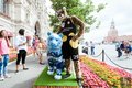Парад диких кошек