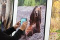 Первозданная Россия