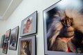 Российская неделя фотографии