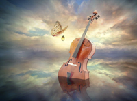 Творческий вечер. Скрипач и композитор Александр Поволоцкий