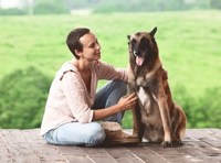 Чичерина. 20 лет в пути