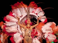 Феерическое ревю