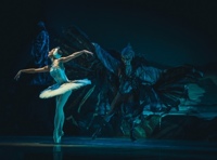 Лебединое озеро