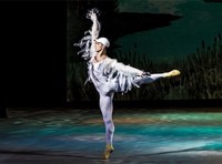 Премьера "Гадкий утенок". Театр классического балета п/р Н.Касаткиной и В Василёва