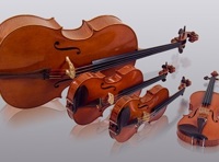 Музыкальные инструменты. История и возможности. Струнные смычковые инструменты