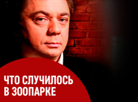 Что случилось в зоопарке