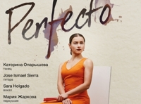 Perfecto. Flamenco performance