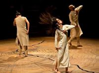 Пока львы молчат