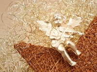 Музыкальные шедевры для скрипки и органа. 