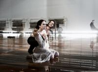 Тайная сила