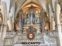 VIII Международный фестиваль "Дорога в Рождество"     Великие органисты современности