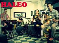 Группа Haleo