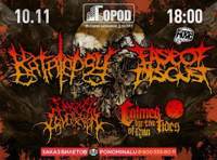 KATALEPSY / EASE OF DISGUST