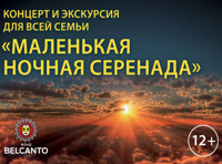 Концерт и экскурсия для всей семьи Маленькая ночная серенада