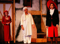 Миллионерша