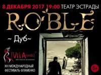 XVI Международный Фестиваль Фламенко «Viva Espana!». Спектакль Roble