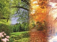 Времена года. Вивальди, Пьяццолла