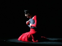 Фламенко-спектакль "ФРИДА"