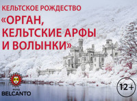 Кельтское рождество  «Орган, кельтские арфы и волынки»