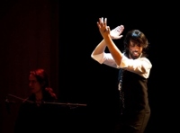 Фламенко-спектакль "PICASSO: DENTRO y FUERA" "Пикассо: Снаружи и Внутри"