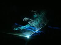 Световой спектакль "День Художника"