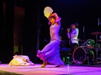 Танцевальное шоу «Остров свободы»