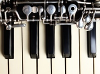 Песни без слов. Музыка для органа и гобоя