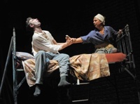 Четвероногая ворона