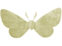 Фантазии Фарятьева